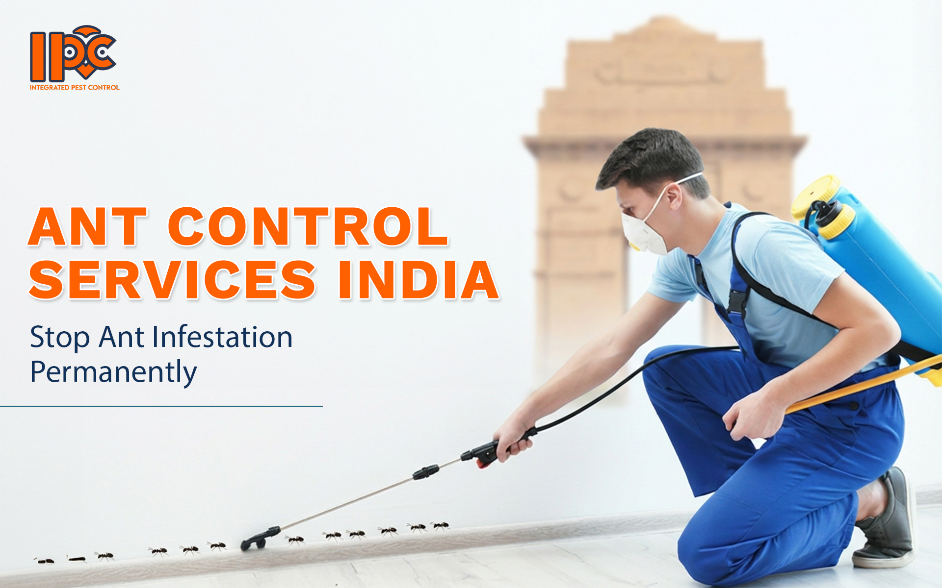 Ant Control Services India | Stop Ant Infestation Permanently